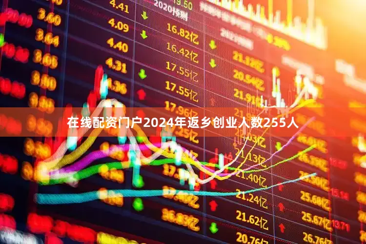 在线配资门户2024年返乡创业人数255人