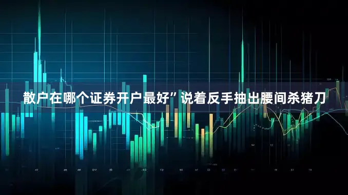 散户在哪个证券开户最好”说着反手抽出腰间杀猪刀
