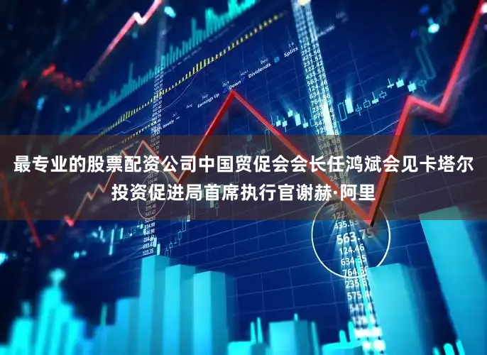 最专业的股票配资公司中国贸促会会长任鸿斌会见卡塔尔投资促进局首席执行官谢赫·阿里