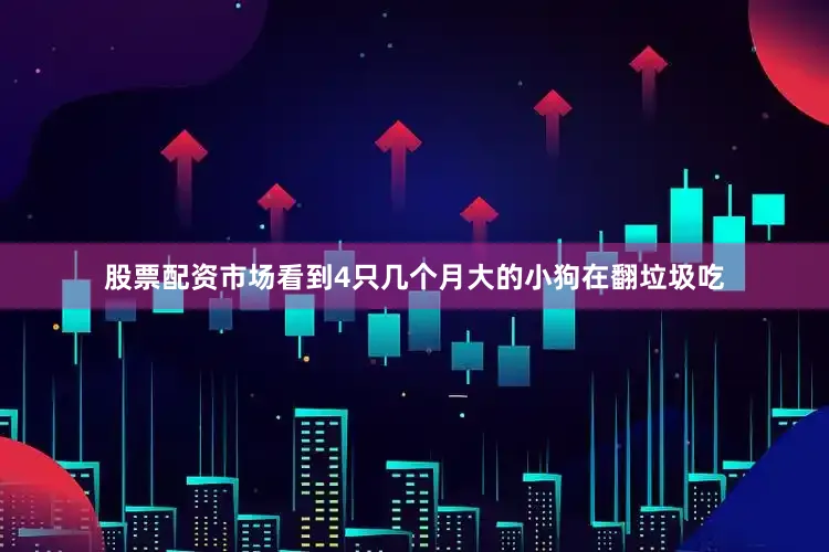 股票配资市场看到4只几个月大的小狗在翻垃圾吃